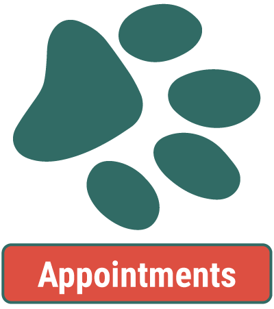 Animal Hospital Appointments