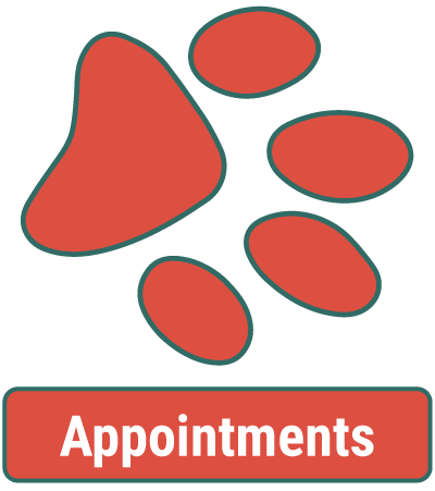 Animal Hospital Appointments Animal Hospital Appointments