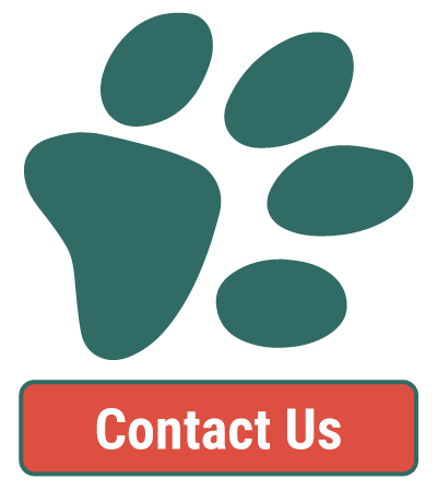 Contact Our Veterinarian Contact Our Veterinarian