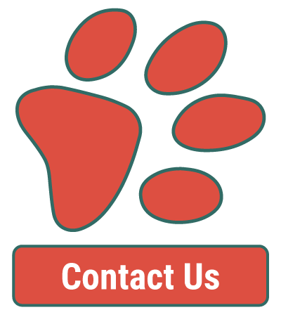 Contact Our Veterinarian Contact Our Veterinarian