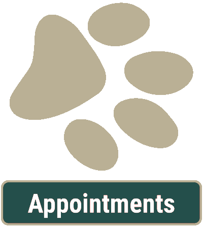 Animal Hospital Appointments Animal Hospital Appointments