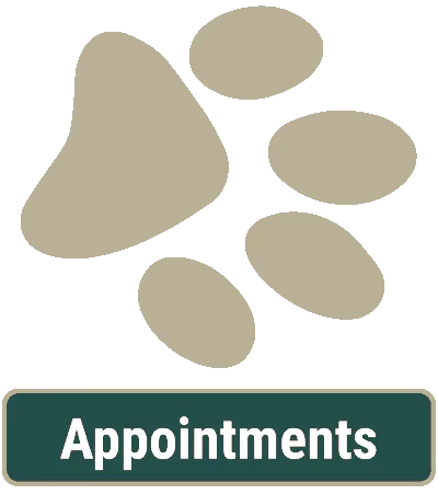 Animal Hospital Appointments Animal Hospital Appointments