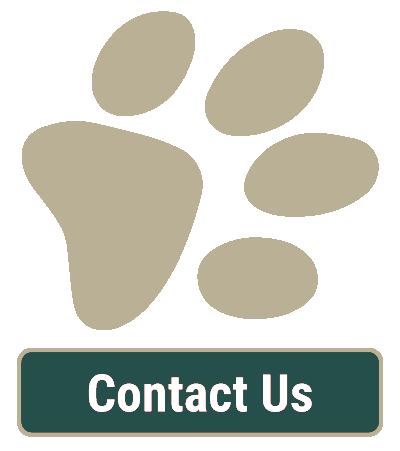 Contact Our Veterinarian Contact Our Veterinarian