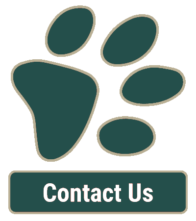 Contact Our Veterinarian Contact Our Veterinarian