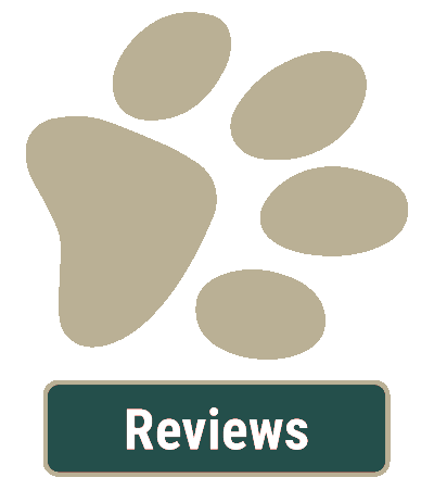 Reviews of Our Vet Reviews of Our Vet