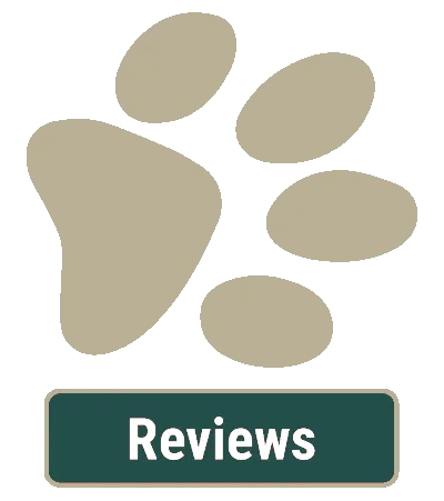 Reviews of Our Vet Reviews of Our Vet