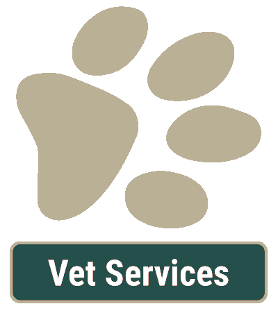 Vet Services in Pflugerville, TX Vet Services in Pflugerville, TX