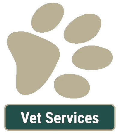 Vet Services in Pflugerville, TX Vet Services in Pflugerville, TX