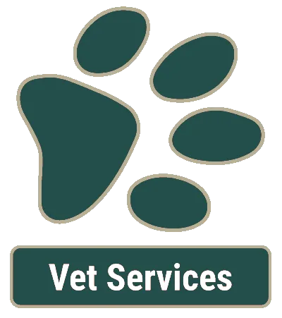 Vet Services in Pflugerville, TX Vet Services in Pflugerville, TX